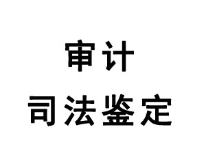 審計司法鑒定
